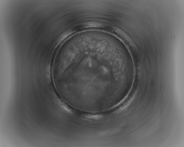 X0000113111121200909041240