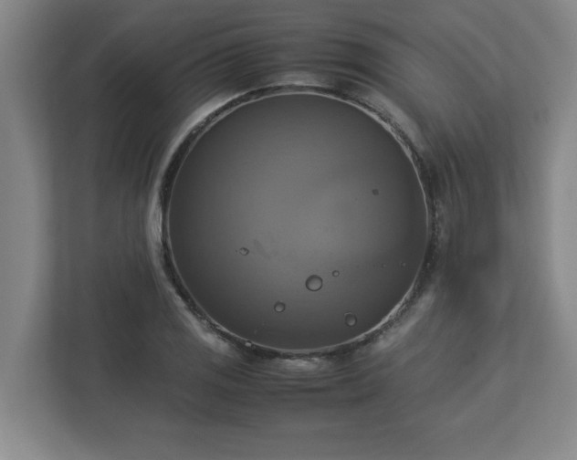X0000113111125200909041240