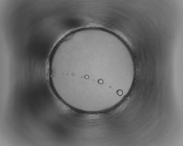 X0000113111126200909041240