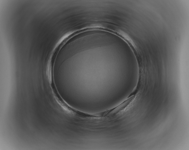 X0000113111127200909041240
