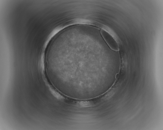 X0000113111128200909041241