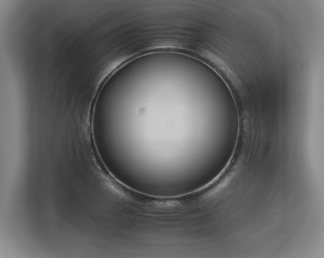 X0000113111129200909041241