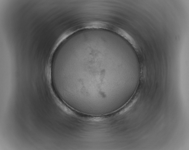 X0000113111130200909041241