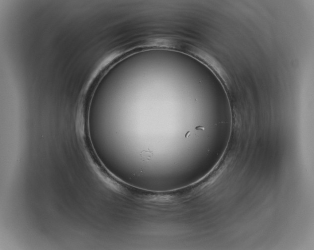 X0000113111131200909041241