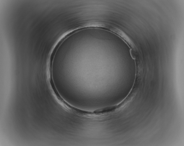 X0000113111132200909041241
