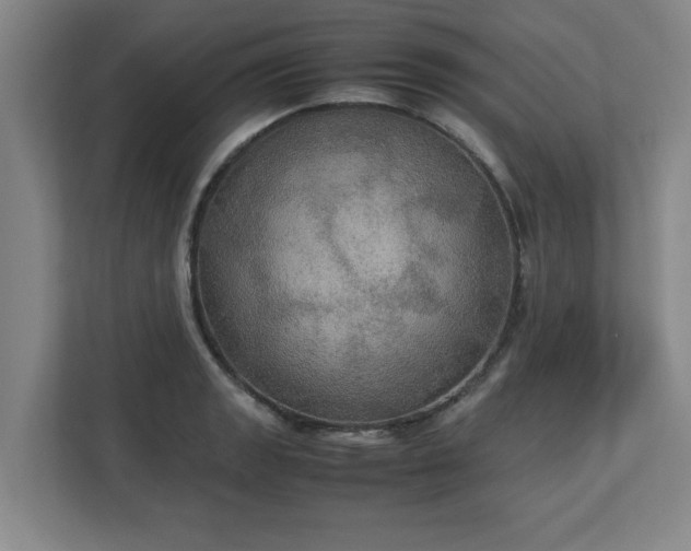 X0000113111133200909041241