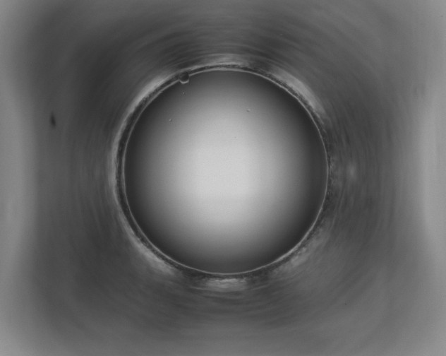 X0000113111135200909041241