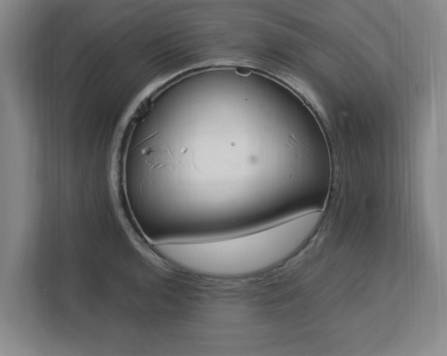 X0000113111136200909041241