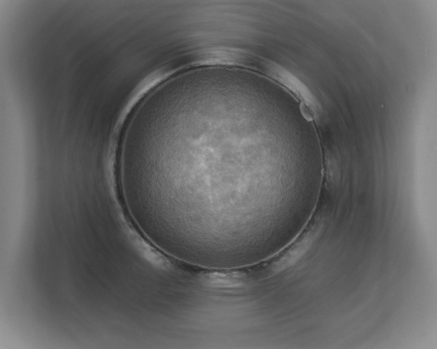 X0000113111138200909041241