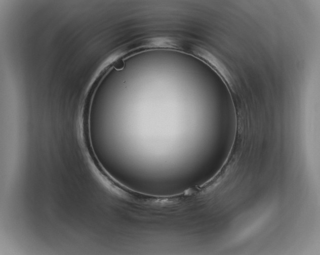 X0000113111139200909041241