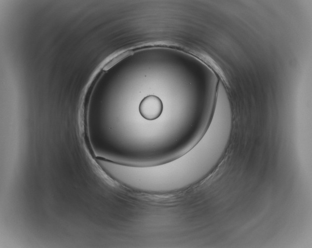 X0000113111140200909041241