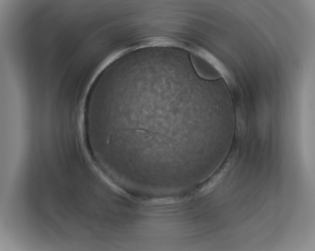 X0000113111142200909041241