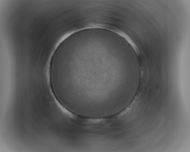 X0000113111143200909041241