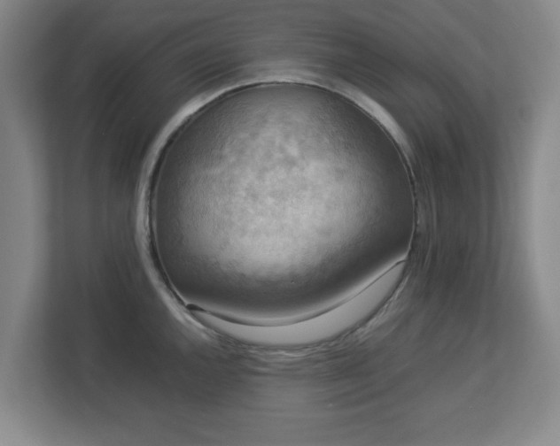 X0000113111144200909041241