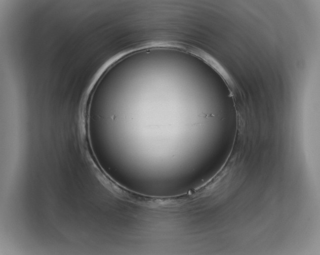 X0000113111148200909041241