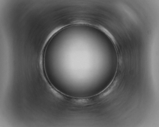 X0000113111149200909041241