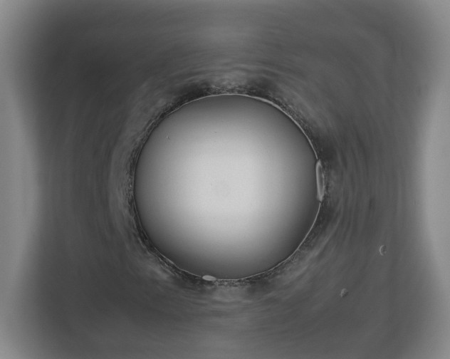 X0000113111153200909041240