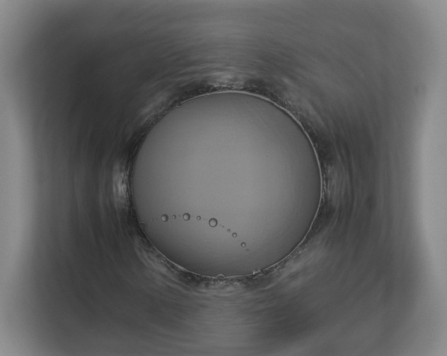 X0000113111154200909041240