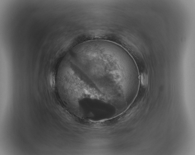 X0000113111155200909041240