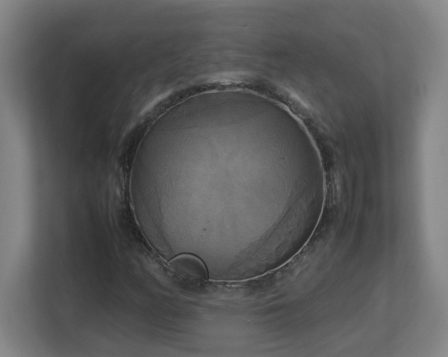 X0000113111158200909041240