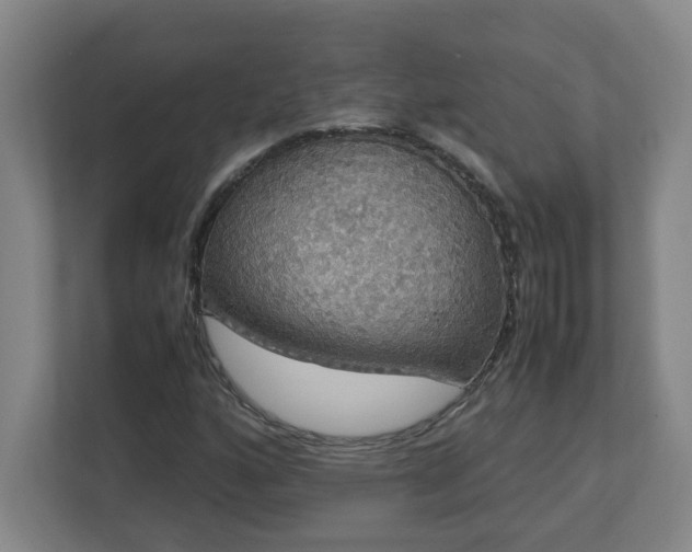X0000113111160200909041240