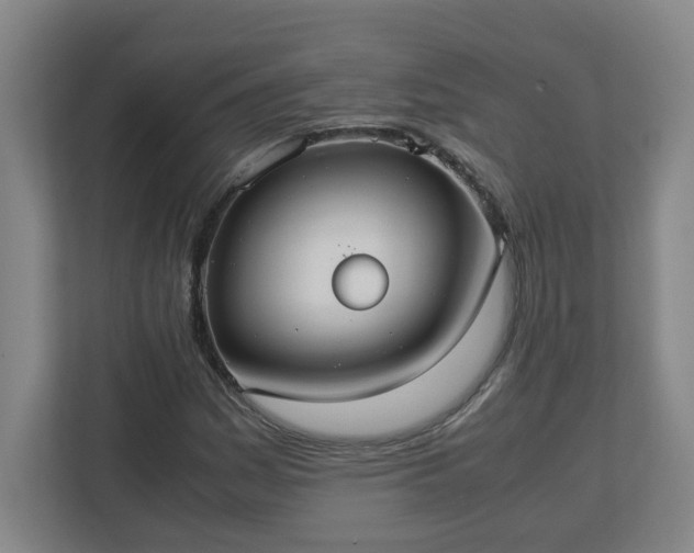 X0000113111161200909041240