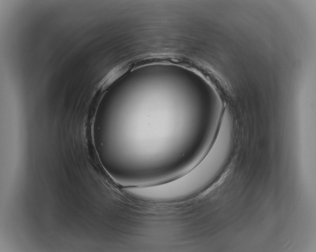 X0000113111162200909041240