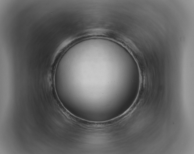 X0000113111164200909041240