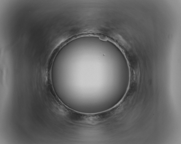 X0000113111165200909041240