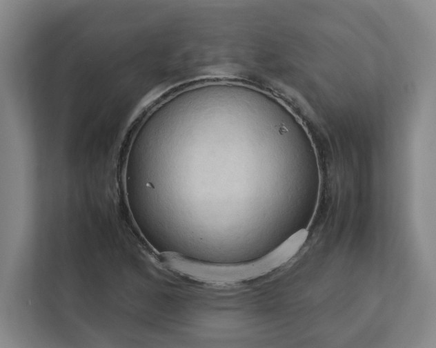 X0000113111168200909041240