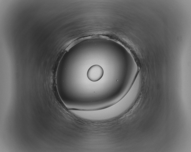 X0000113111169200909041240