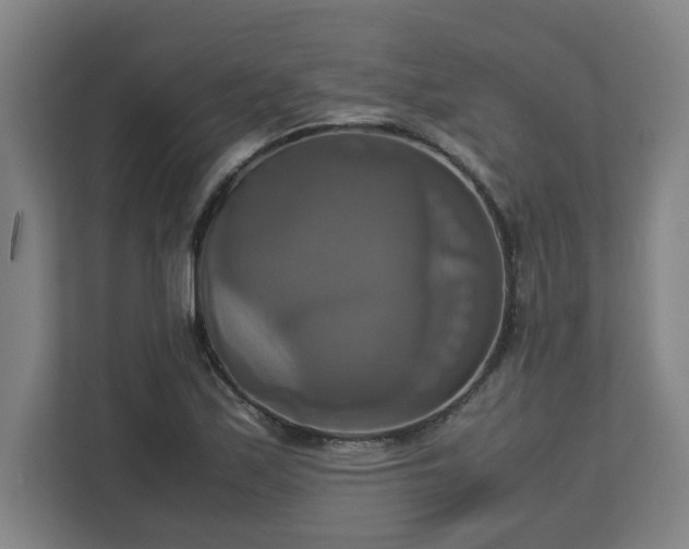 X0000113111171200909041240