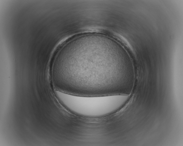 X0000113111172200909041240