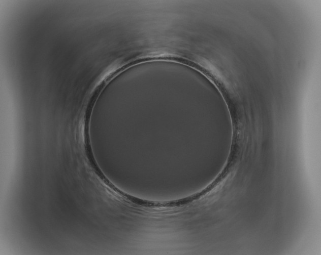 X0000113111173200909041240