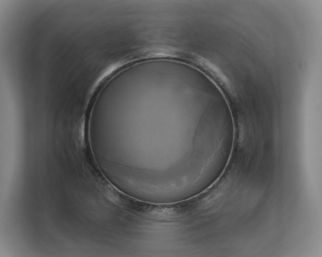 X0000113111174200909041240