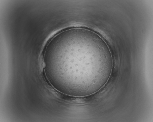 X0000113111175200909041240