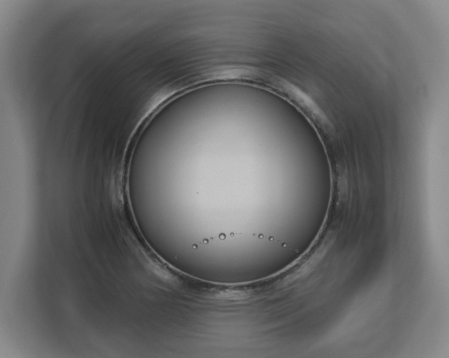 X0000113111178200909041240