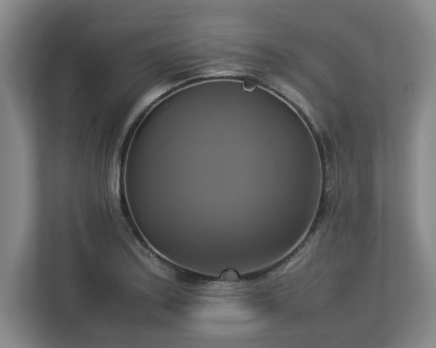 X0000113111179200909041240