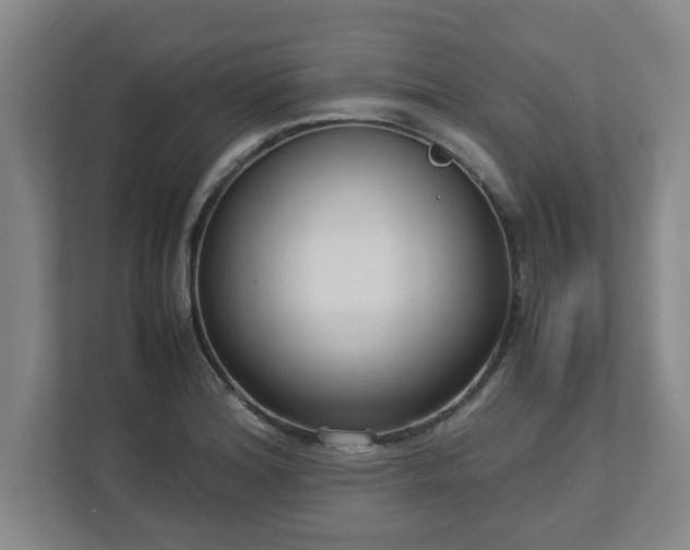X0000113111180200909041240