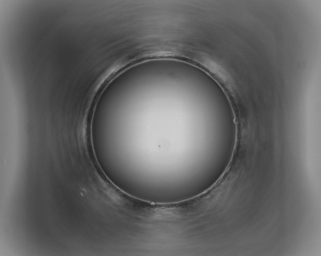 X0000113111181200909041240