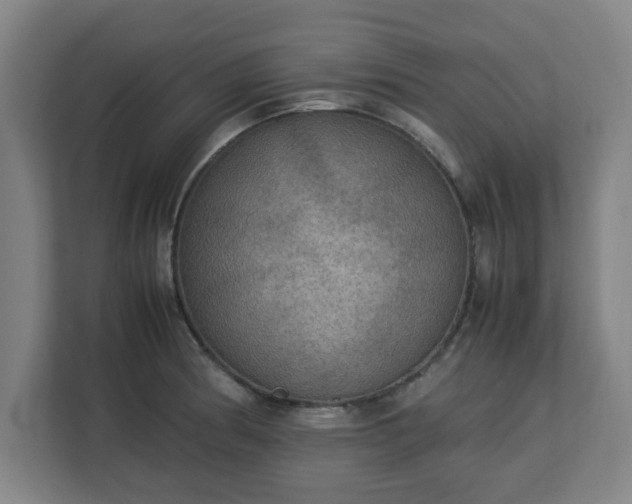 X0000113111186200909041240