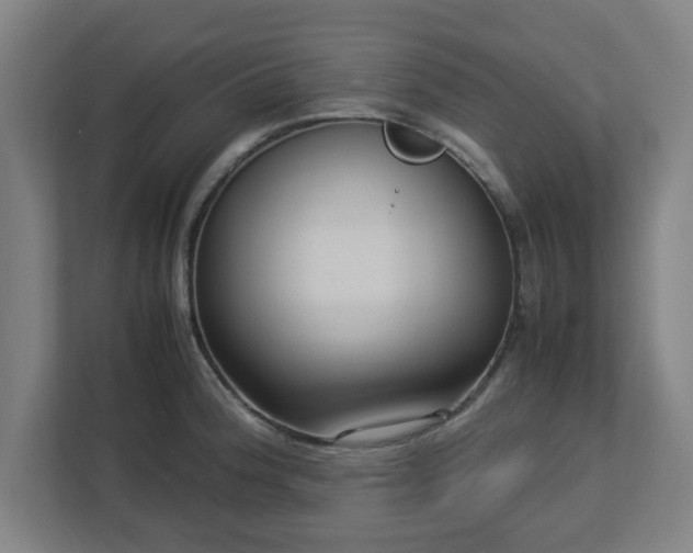 X0000113111188200909041240