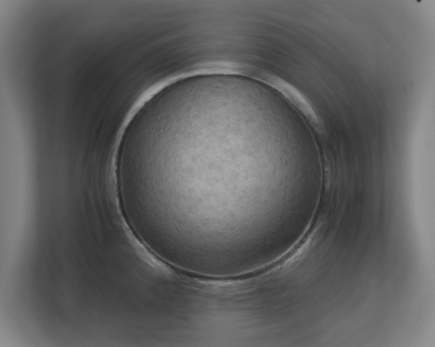 X0000113111192200909041240