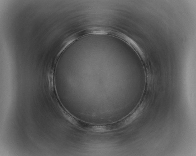 X0000113111194200909041240