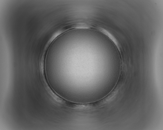 X0000113111195200909041240