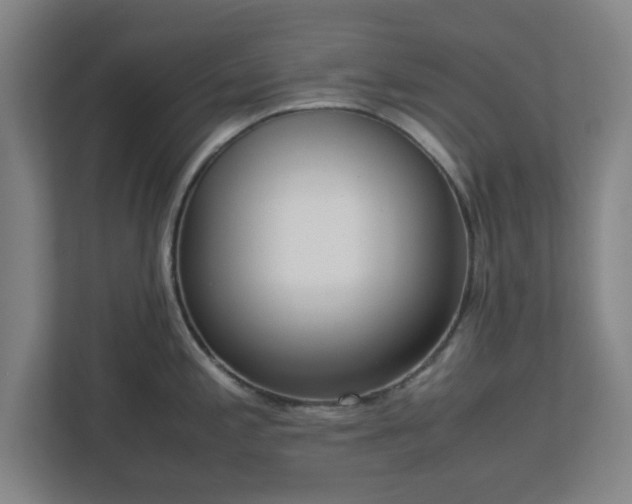 X0000113111197200909041240