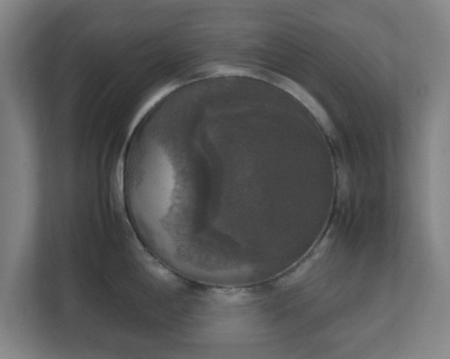 X0000113111198200909041240