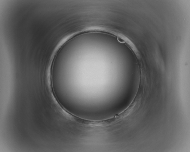 X0000113111199200909041240