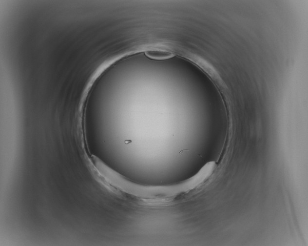 X0000113111200200909041240