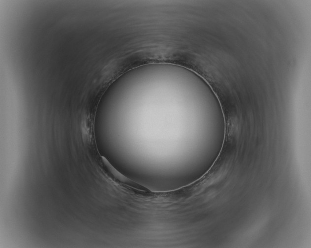 X0000113111202200909041239
